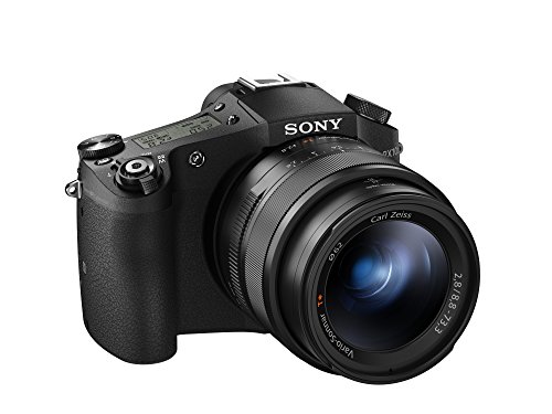 Sony Cyfrowy aparat fotograficzny Cyber-shot DSC-RX10M II