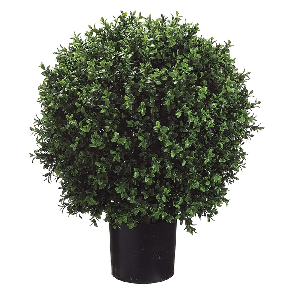 BOTARO Zestaw 2 sztuk - Topiary z bukszpanu o wysokości 24 cali w doniczce - średnica 16 cali - Plastikowa doniczka