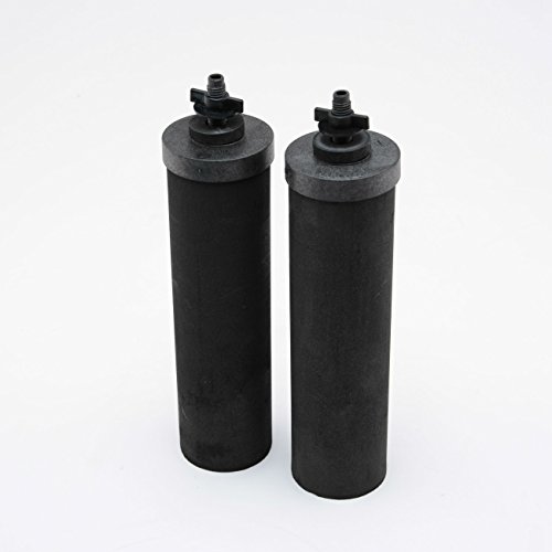 Berkey BB9-2 Wymienne elementy filtra czarnej wody (2 filtry)