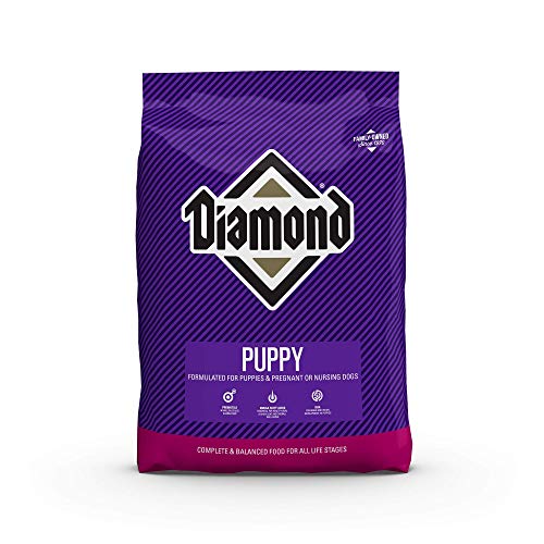 Diamond Pet Foods Diamond Premium Puppy Kompletna i zbilansowana sucha karma dla psów zawierająca białko i probiotyki