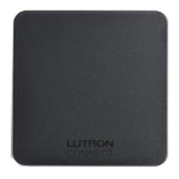 Lutron 