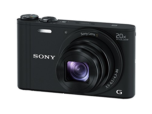 Sony Aparat cyfrowy WX350 o rozdzielczości 18 MP