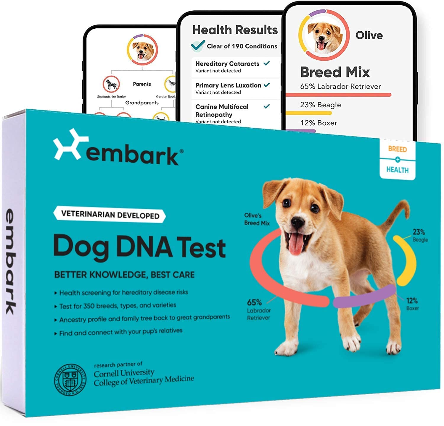 Embark Zestaw do badania DNA psa | Odkrycie rasy i przodków genetycznych | Wykrywanie cech i zdrowia | Wymaz z policzka w domu