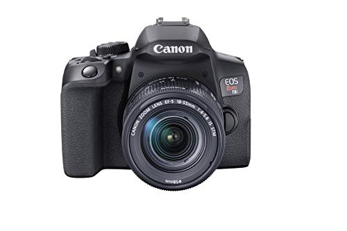 Canon EOS Rebel T8i EF-S 18-55mm to zestaw obiektywów STM w kolorze czarnym