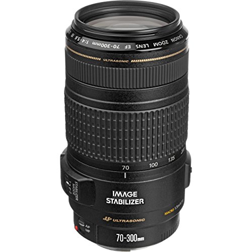 Canon Obiektyw EF 70-300mm f/4-5.6 IS USM do lustrzanek EOS