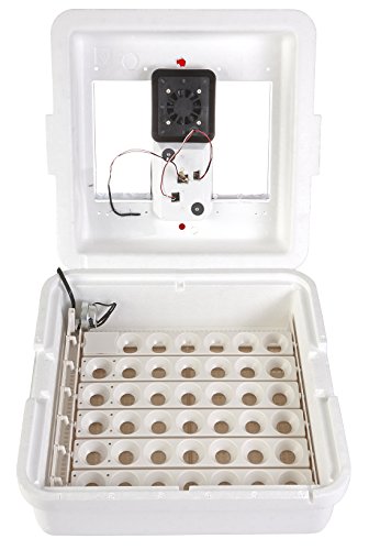 Little Giant Cyfrowy inkubator z obiegowym powietrzem i automatyczną obracarką (41 jaj) Inkubator do jaj z wentylatorem i obracarką do jaj (nr art. 11300)