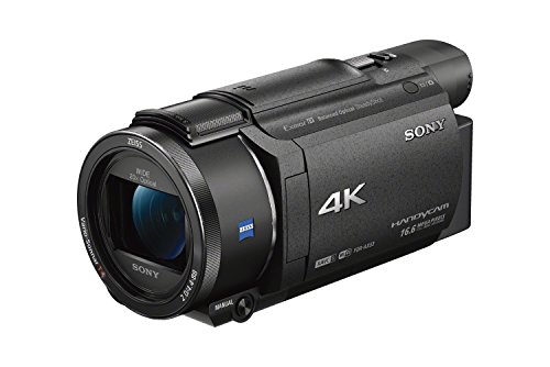 Sony Kamera do nagrywania wideo 4K HD FDRAX53/B (czarna)