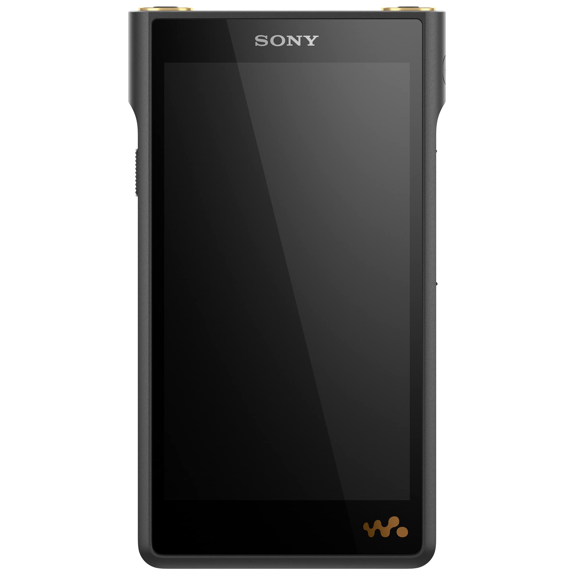 Sony NW-WM1AM2 Hi-Res 128GB Walkman Digital MP3 Music Player