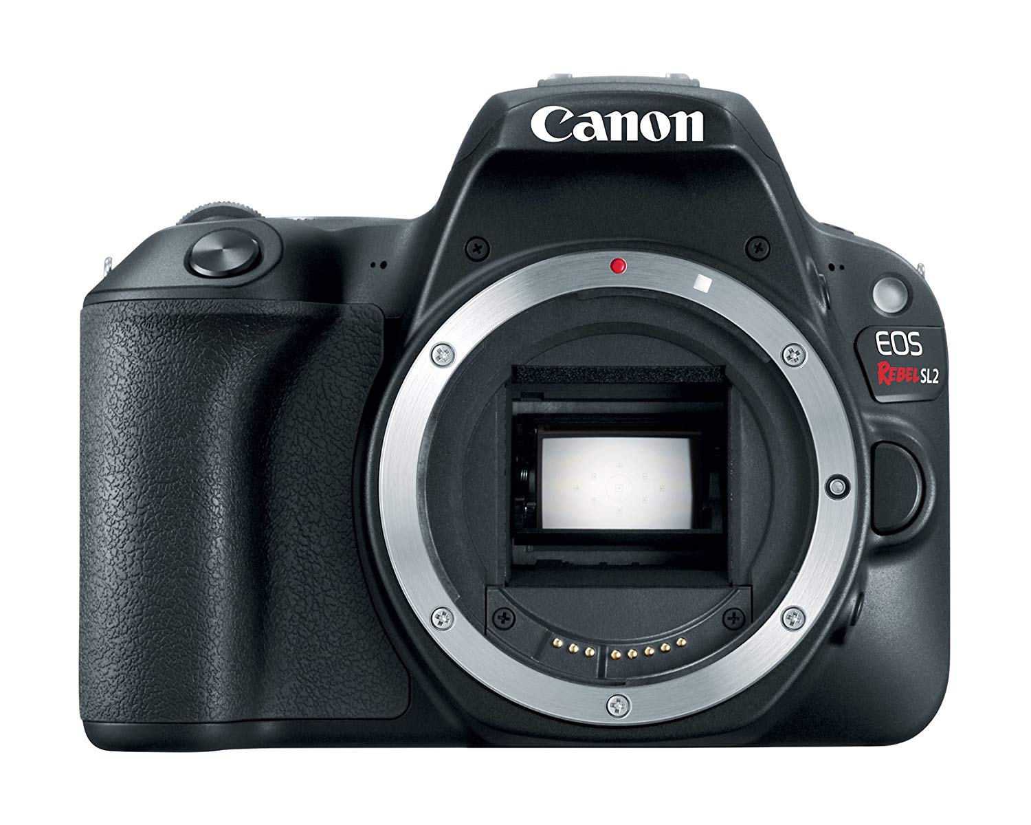 Canon Korpus lustrzanki cyfrowej EOS Rebel SL2 z obsługą Wi-Fi